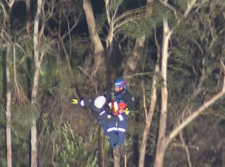 Two hikers airlifted to safety after being trapped in the Blue Mountains